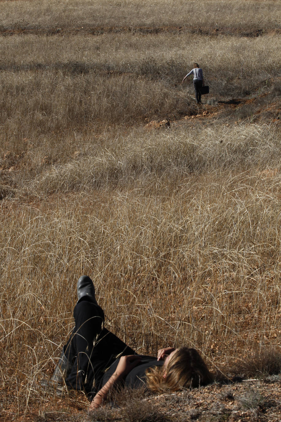 Fotos: Una nueva agricultura que cura la tierra