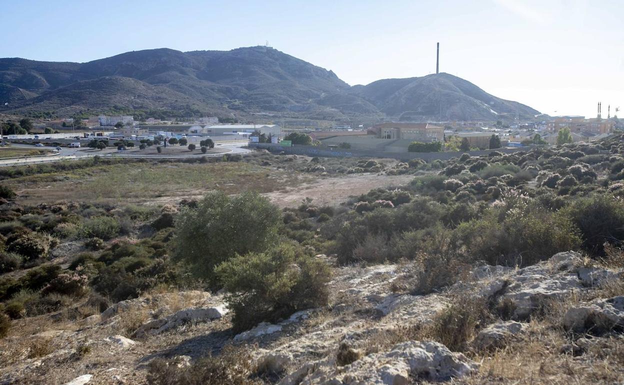 Terrenos enfrente del hospital Santa Lucía de Cartagena que han sido ofrecidos para albergar la Ciudad de la Justicia.