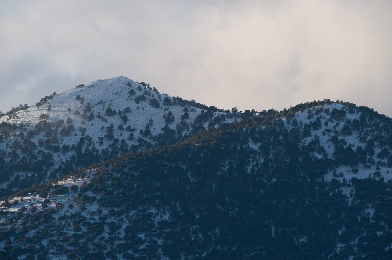 Fotos: El 2021 llega con nieve a Moratalla y Caravaca