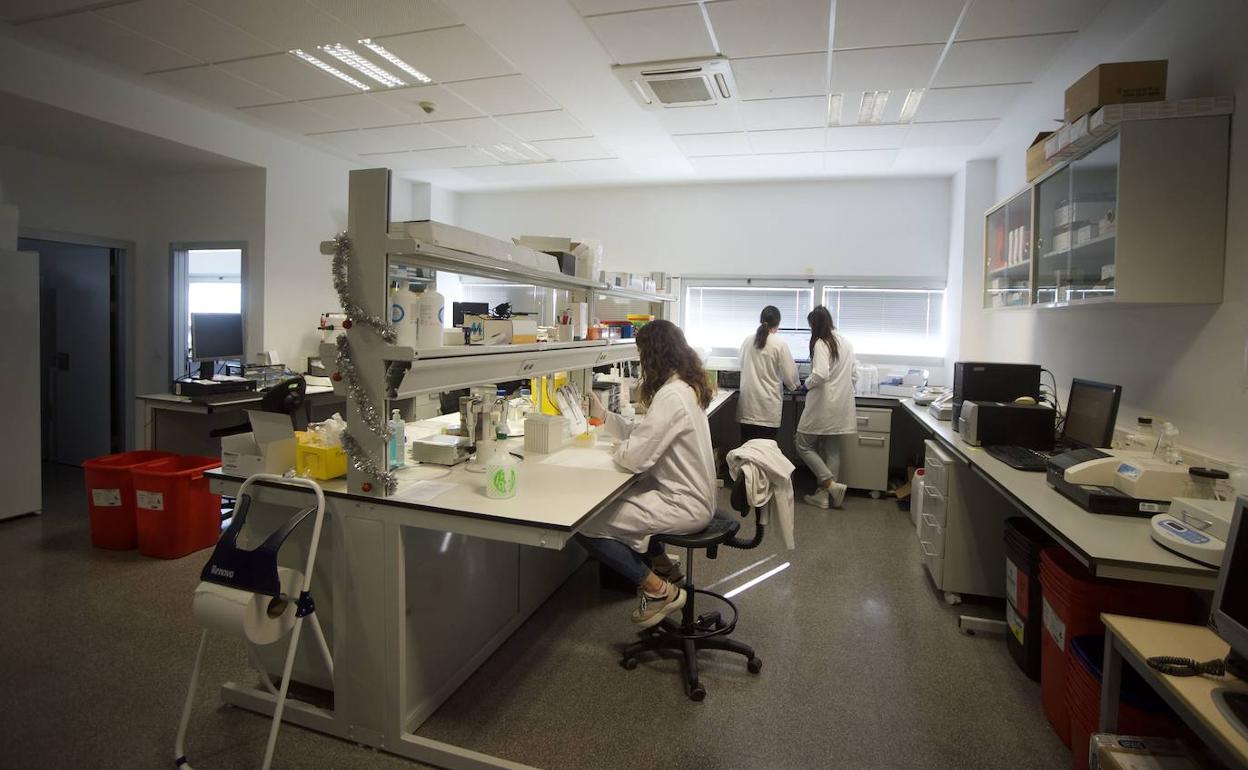 Uno de los laboratorios del centro de investigacion multidisciplinar en biociencias Pleiades, en el Campus de Espinardo.