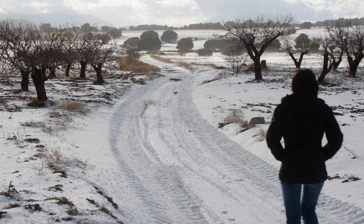 Una mujer en un campo nevado el pasado día 1 en Caravaca. 