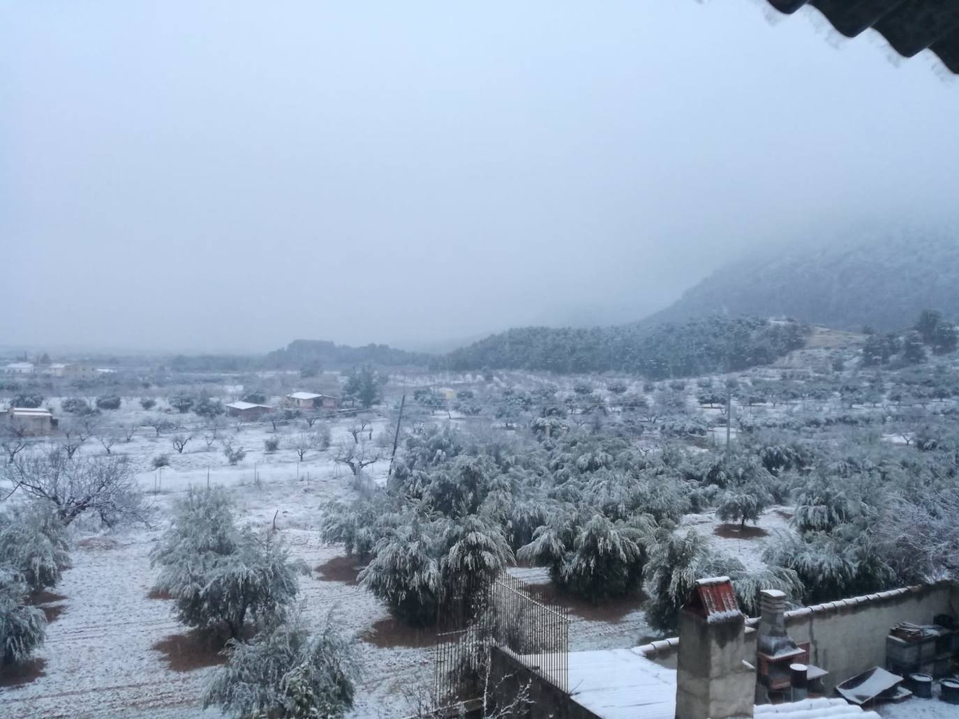 Nieve en Casas Nuevas, Mula.