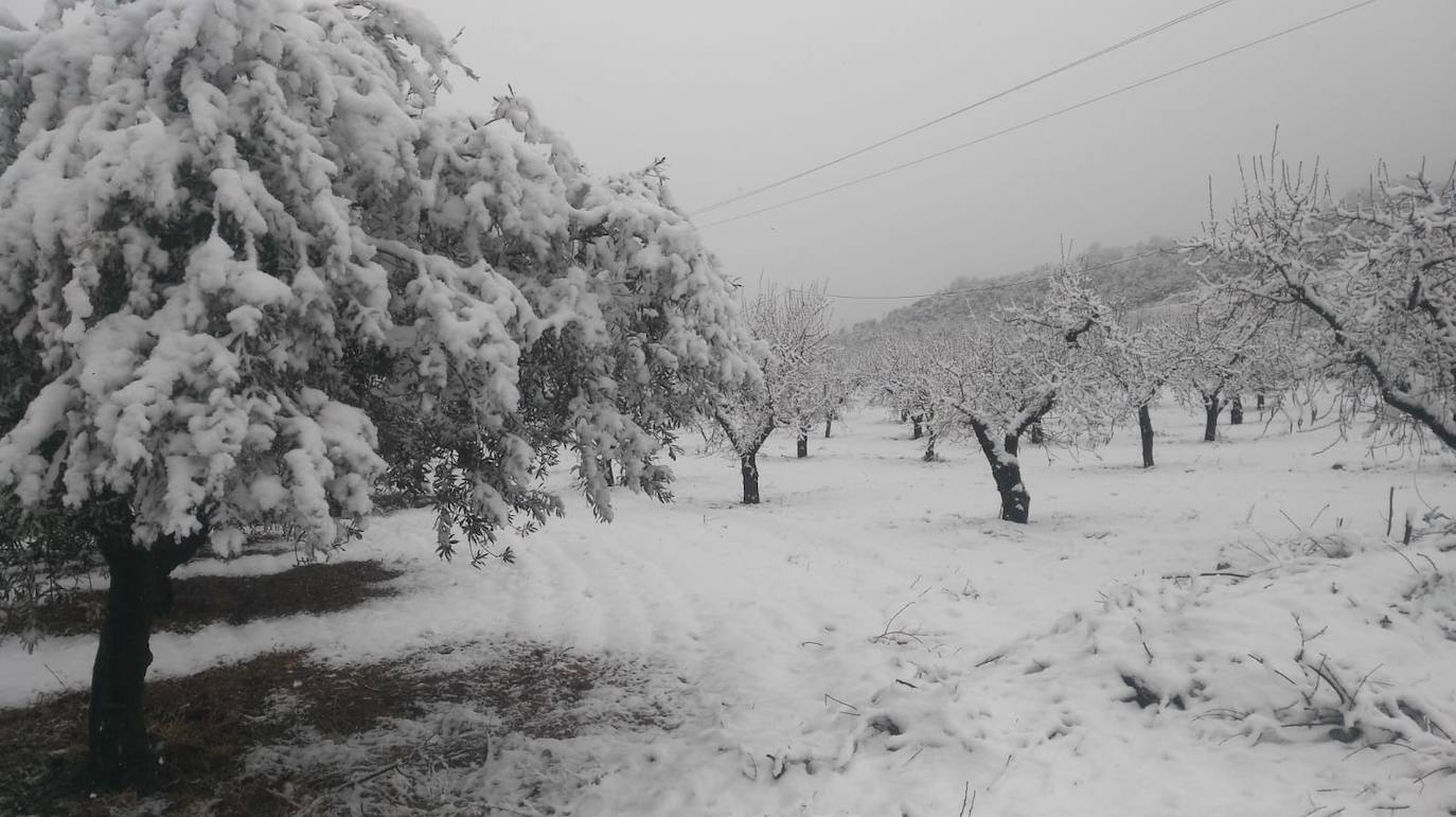Nieve en Casas Nuevas, Mula.