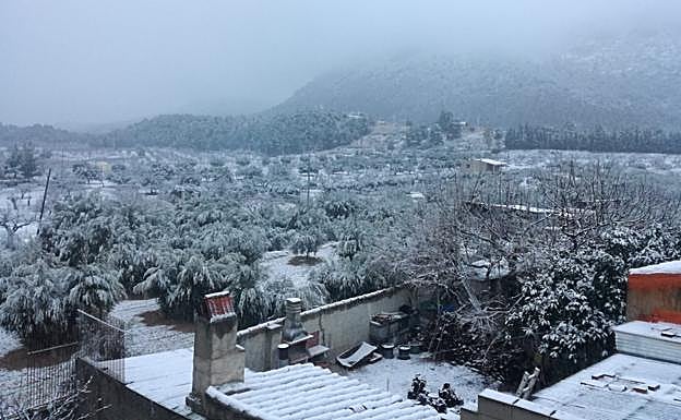 Campos nevados en Casas Nuevas (Mula)