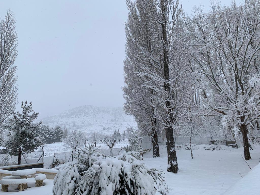 Nieve en Campo de San Juan, Moratalla