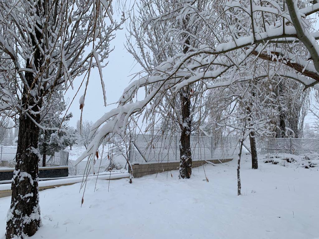 Nieve en Campo de San Juan, Moratalla
