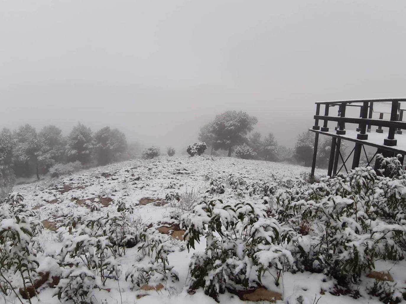 Nieve en la Comarca del Río Mula, Pliego. 