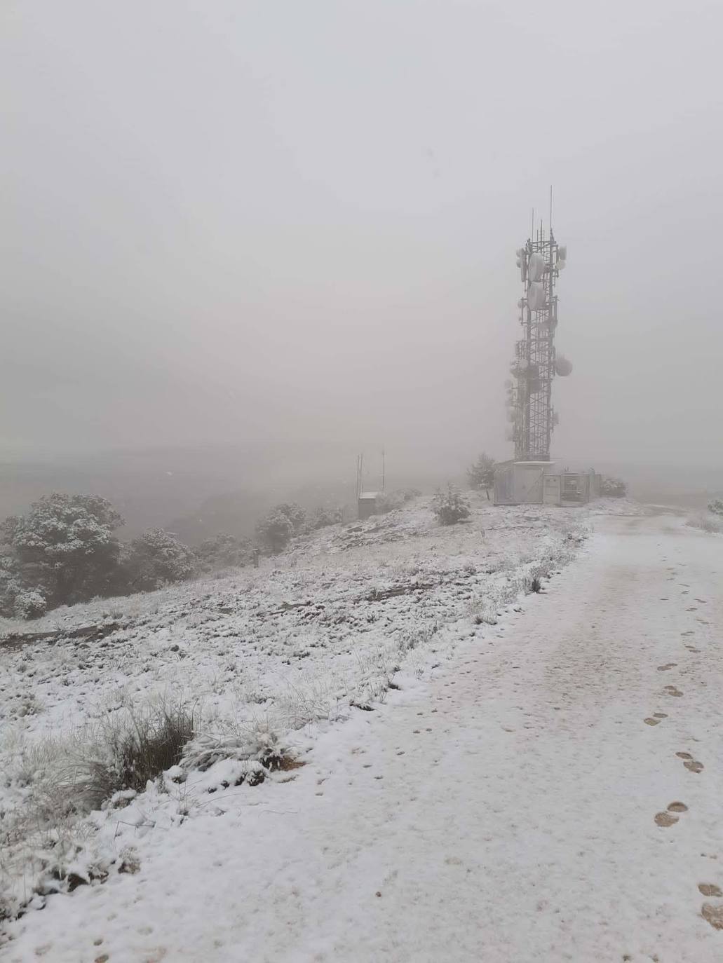 Nieve en la Comarca del Río Mula, Pliego. 