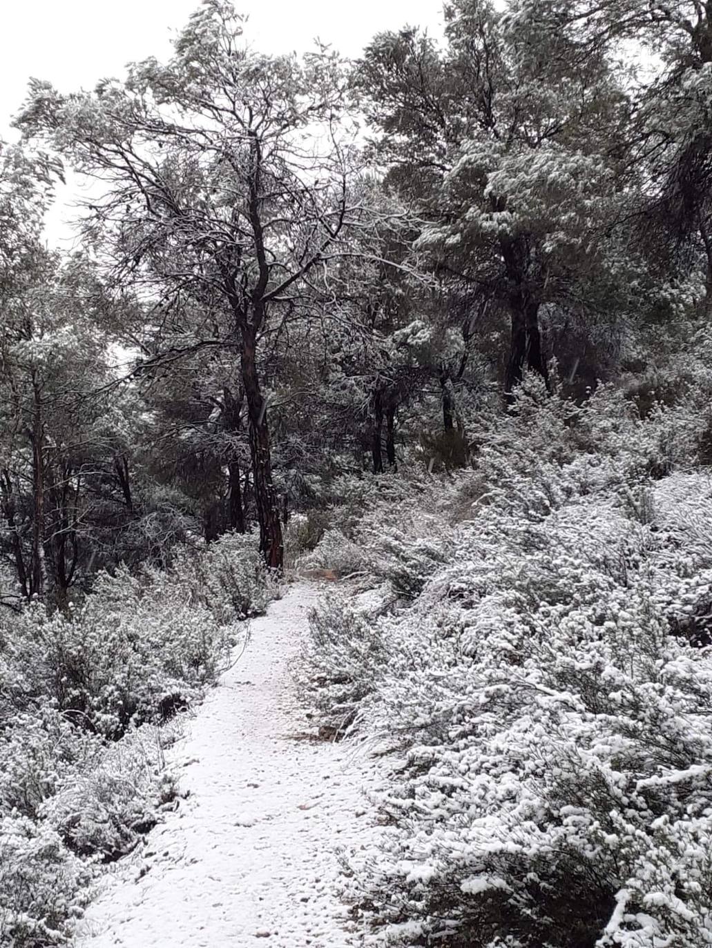 Nieve en la Comarca del Río Mula, Pliego. 
