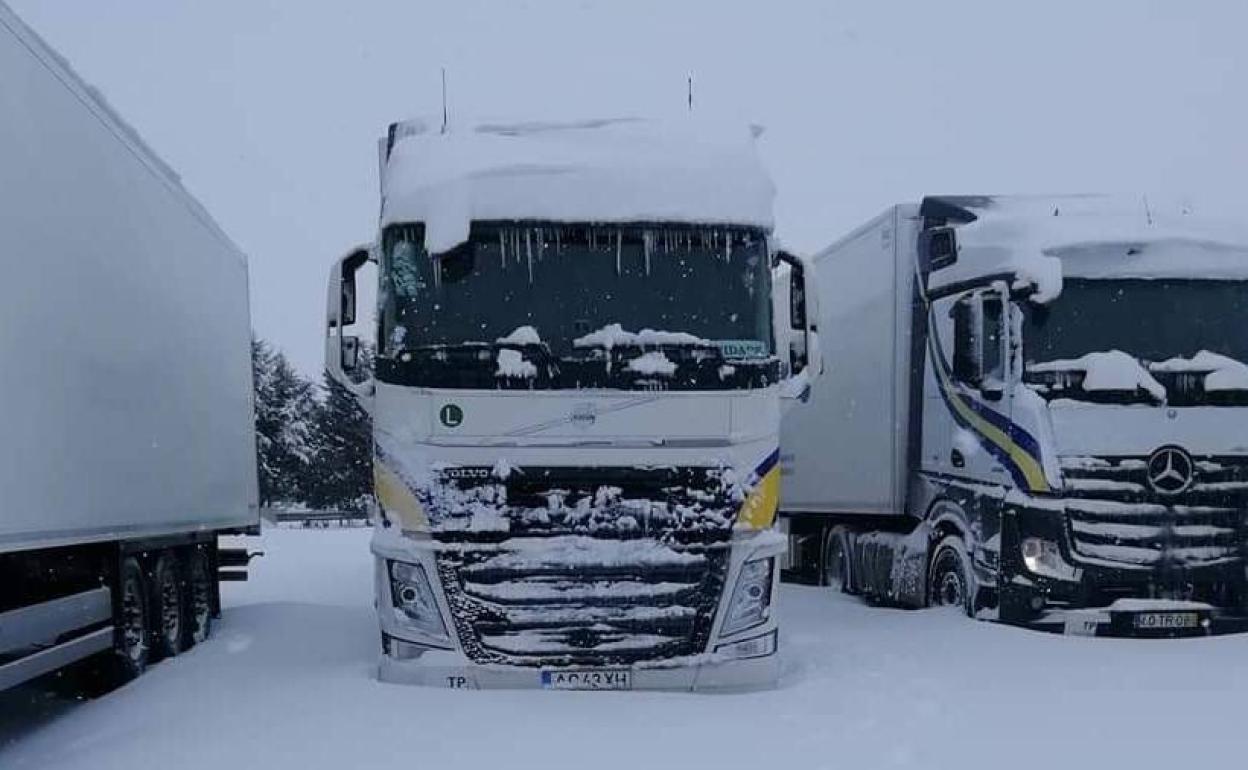 Camiones de Primafrío estacionados durante el temporal.