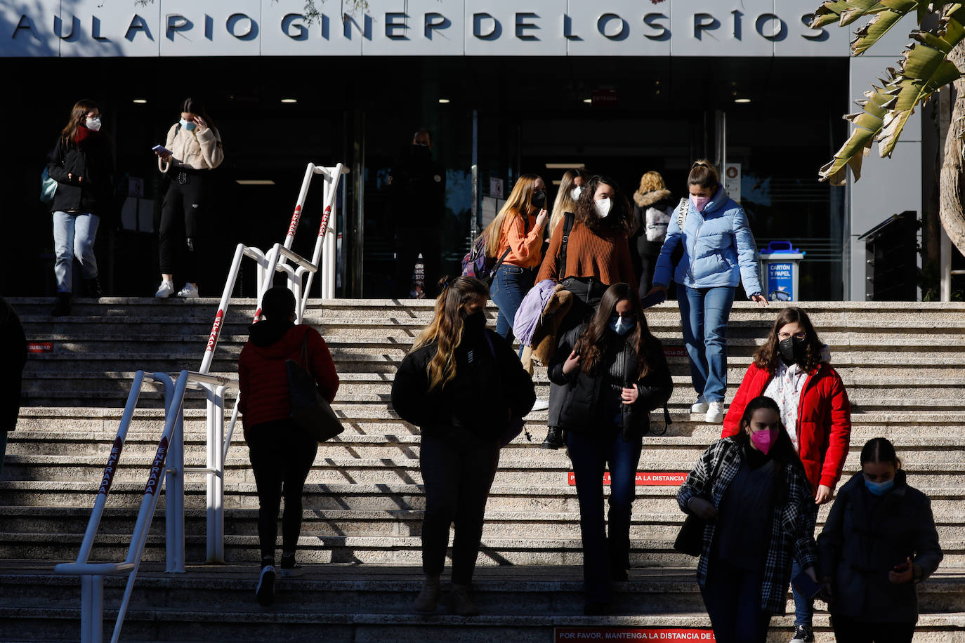 Fotos: Los estudiantes insisten en reclamar exámenes &#039;online&#039;