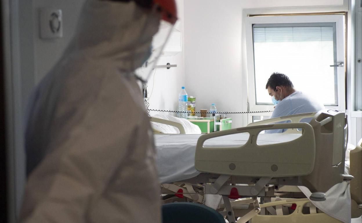 Un paciente de Covid hospitalizado en el Reina Sofía en una foto de archivo.