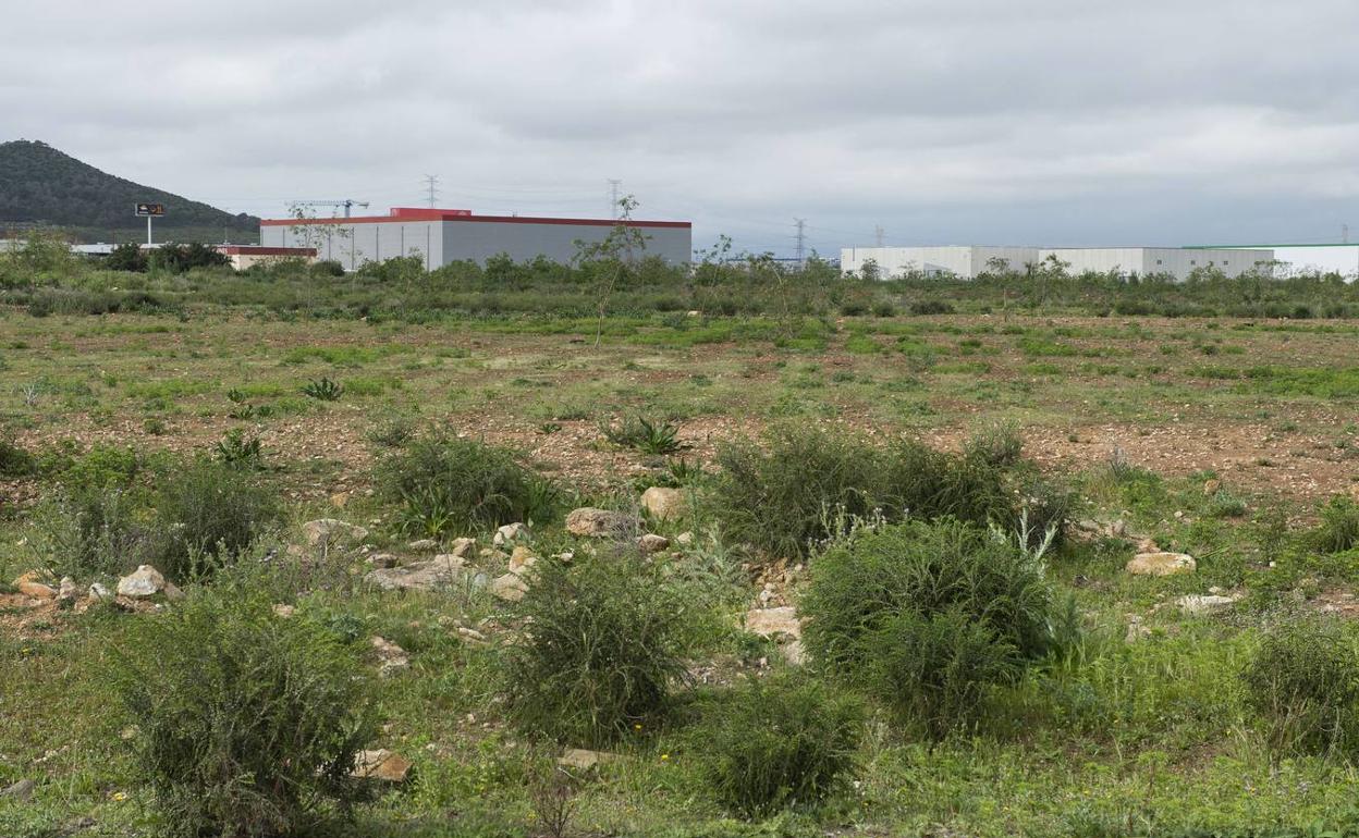 Terrenos de Los Camachos.