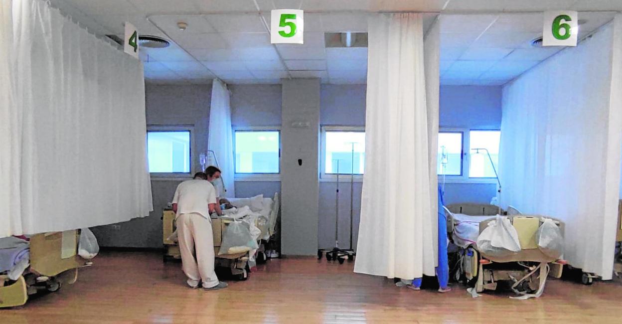 Camas instaladas en el gimnasio de Fisioterapia del hospital Reina Sofía de Murcia, ayer. 