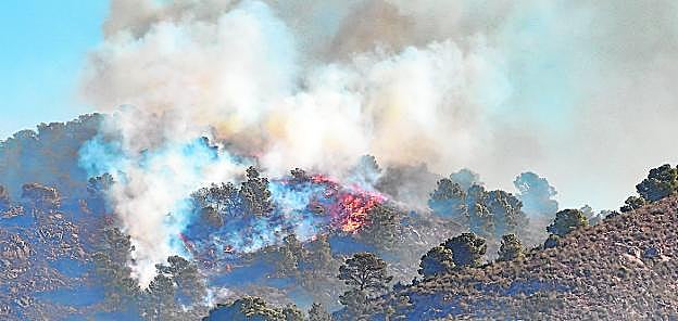 Una lengua de fuego avanza hacia la cima del monte en la sierra de Carrascoy calcinando todo a su paso y dejando una gran columna de humo, ayer. 