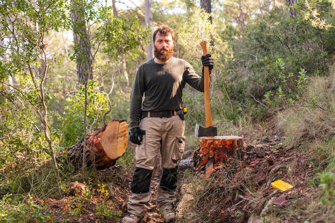 Fotos: El eco de un hacha en el silencio del bosque