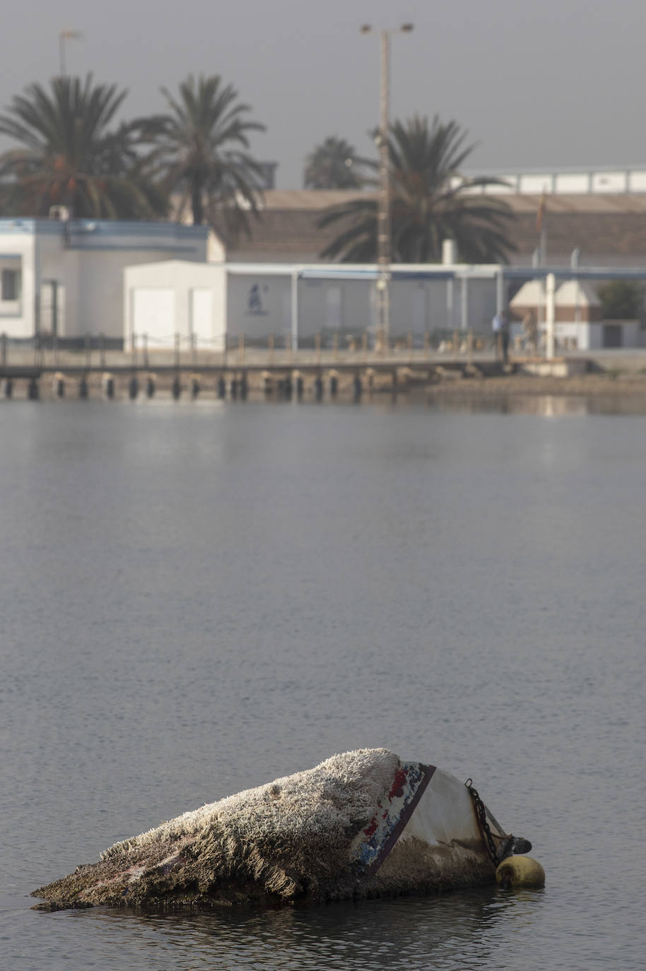 Fotos: Las labores de retirada de embarcaciones varadas o hundidas empiezan en el municipio de Los Alcázares