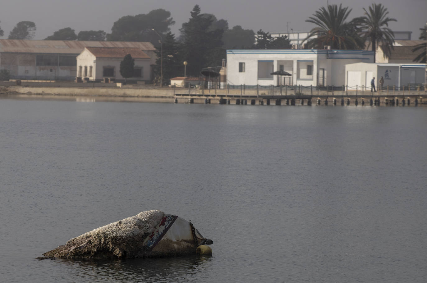 Fotos: Las labores de retirada de embarcaciones varadas o hundidas empiezan en el municipio de Los Alcázares