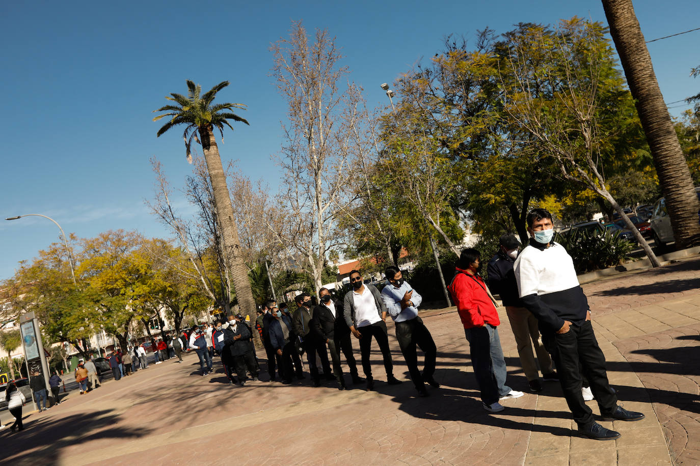 Fotos: Ecuatorianos residentes en la Región de Murcia ejercen su derecho al voto