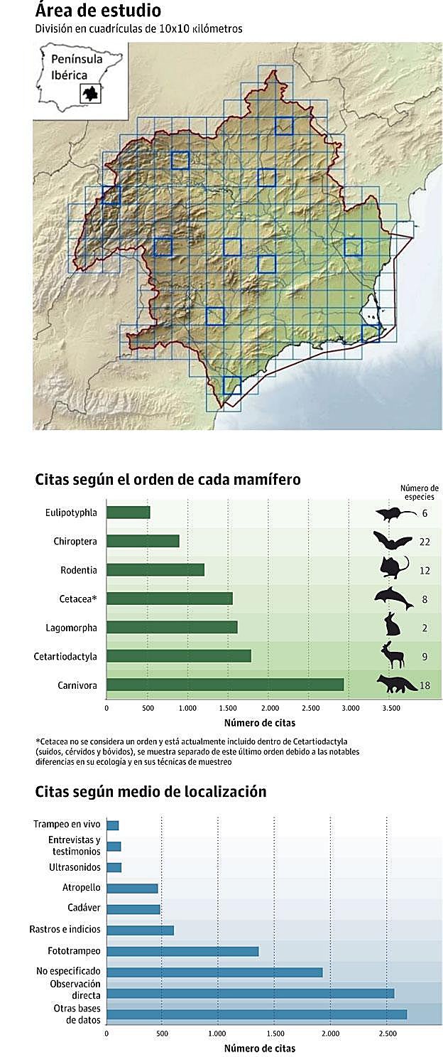 Fuente: Proyecto Encebra, Revista Eubacteria nº 39