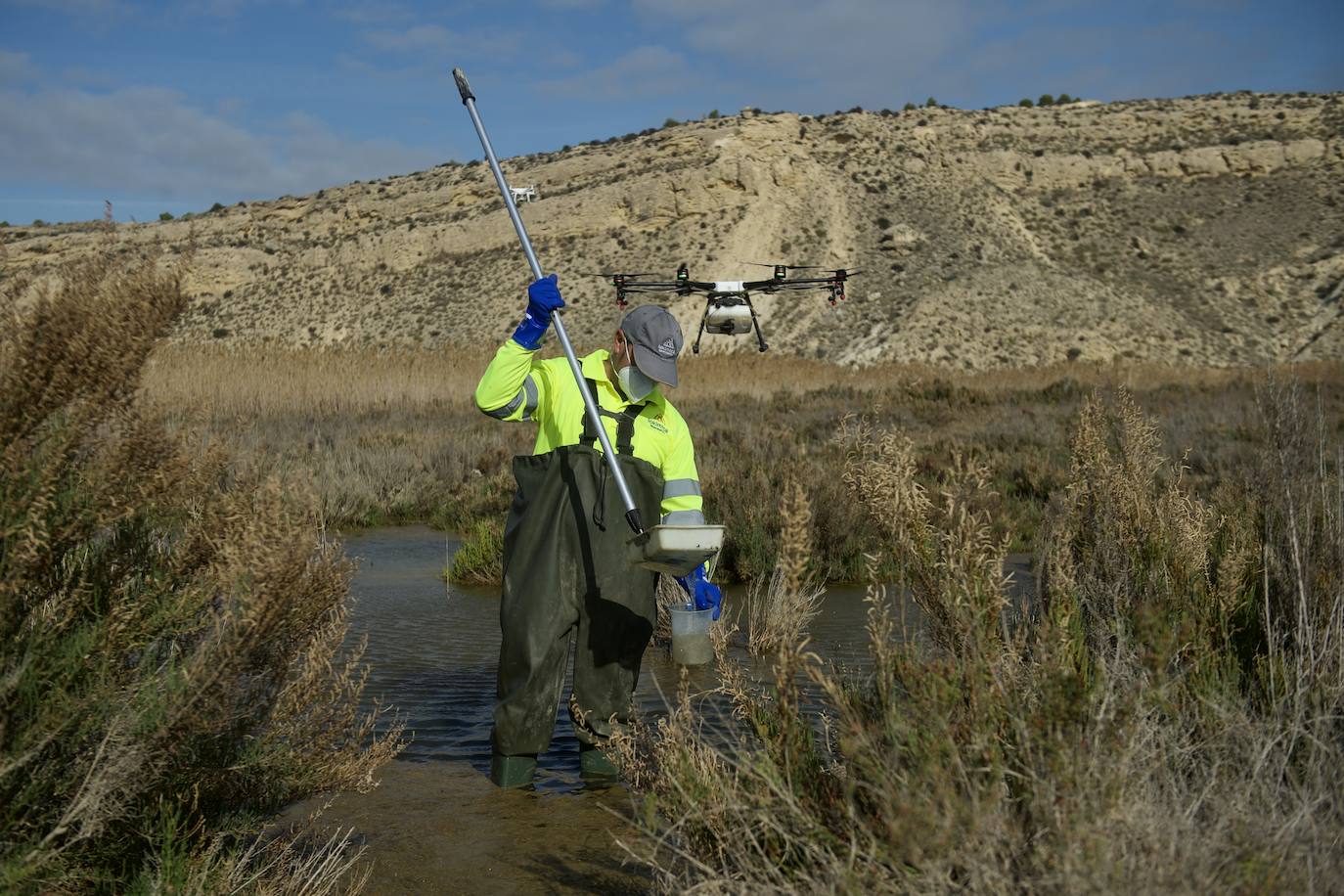 Fotos: La subida de las temperaturas adelanta un mes la fumigación antimosquitos en Murcia