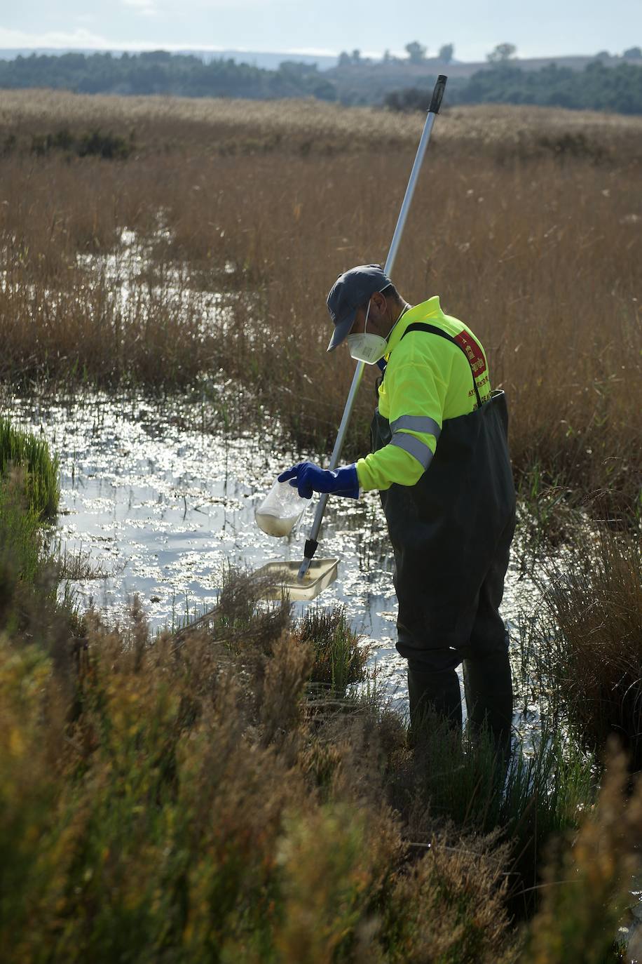 Fotos: La subida de las temperaturas adelanta un mes la fumigación antimosquitos en Murcia