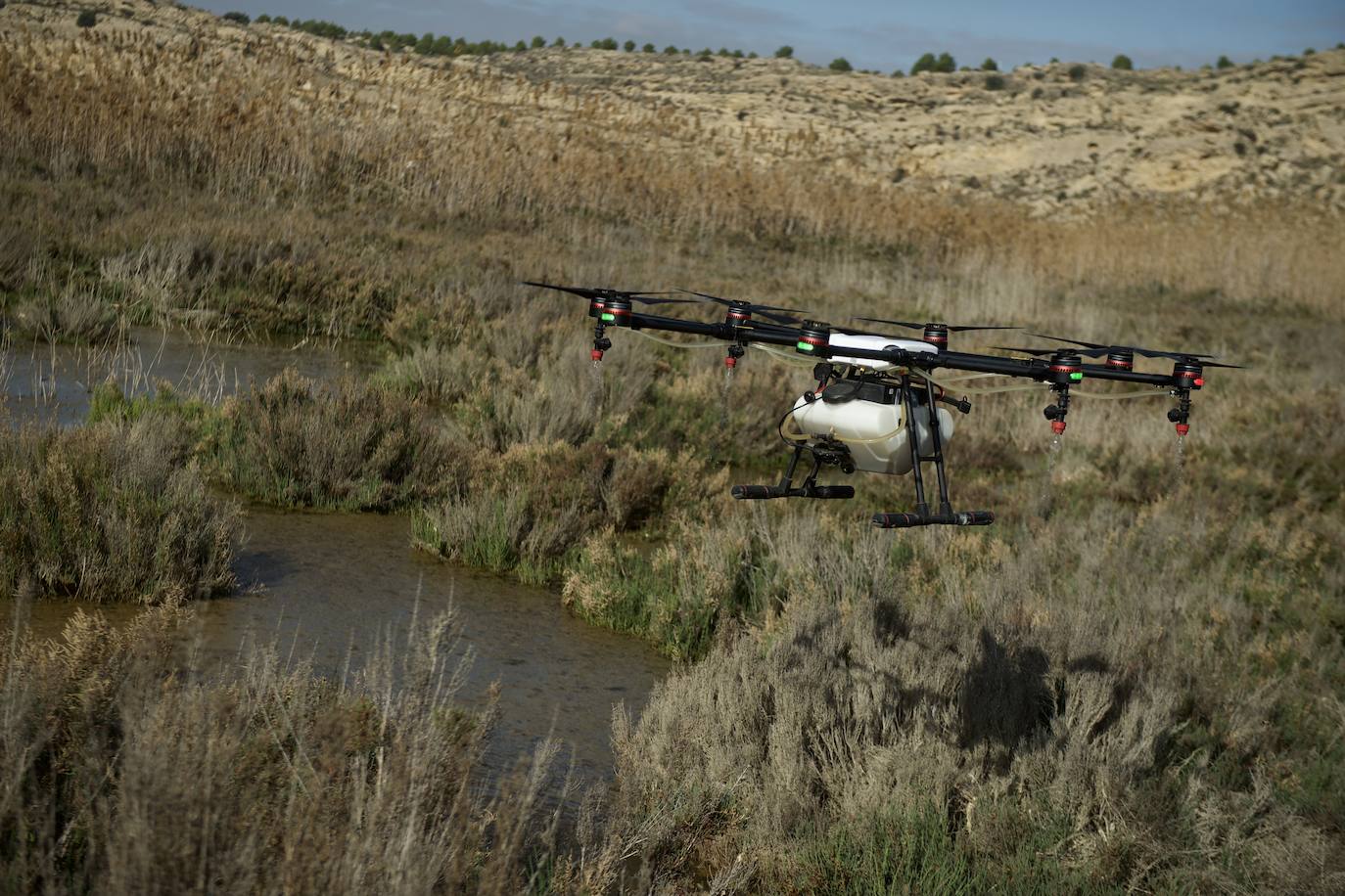 Fotos: La subida de las temperaturas adelanta un mes la fumigación antimosquitos en Murcia