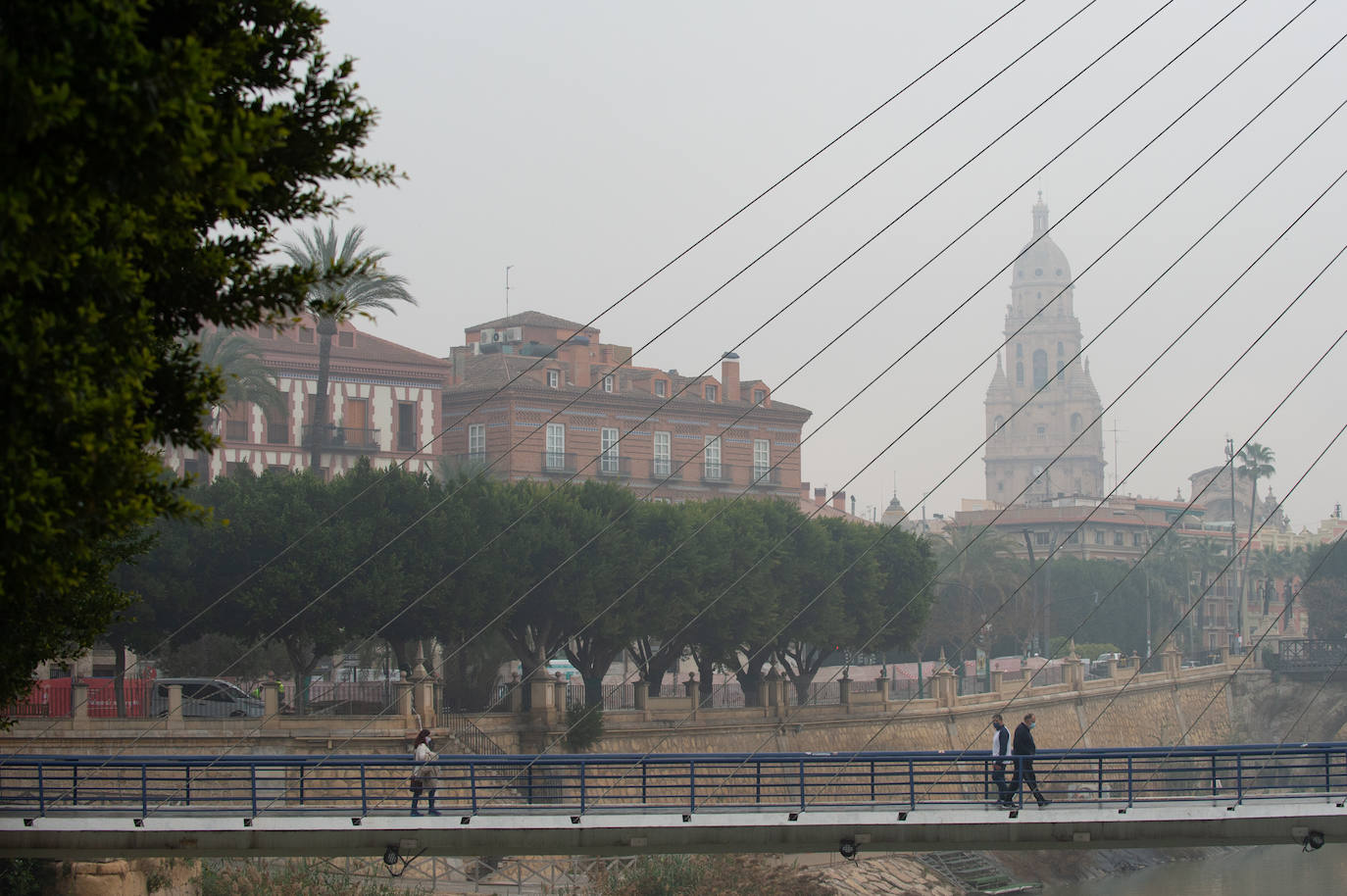 Fotos: Murcia amanece cubierta de niebla