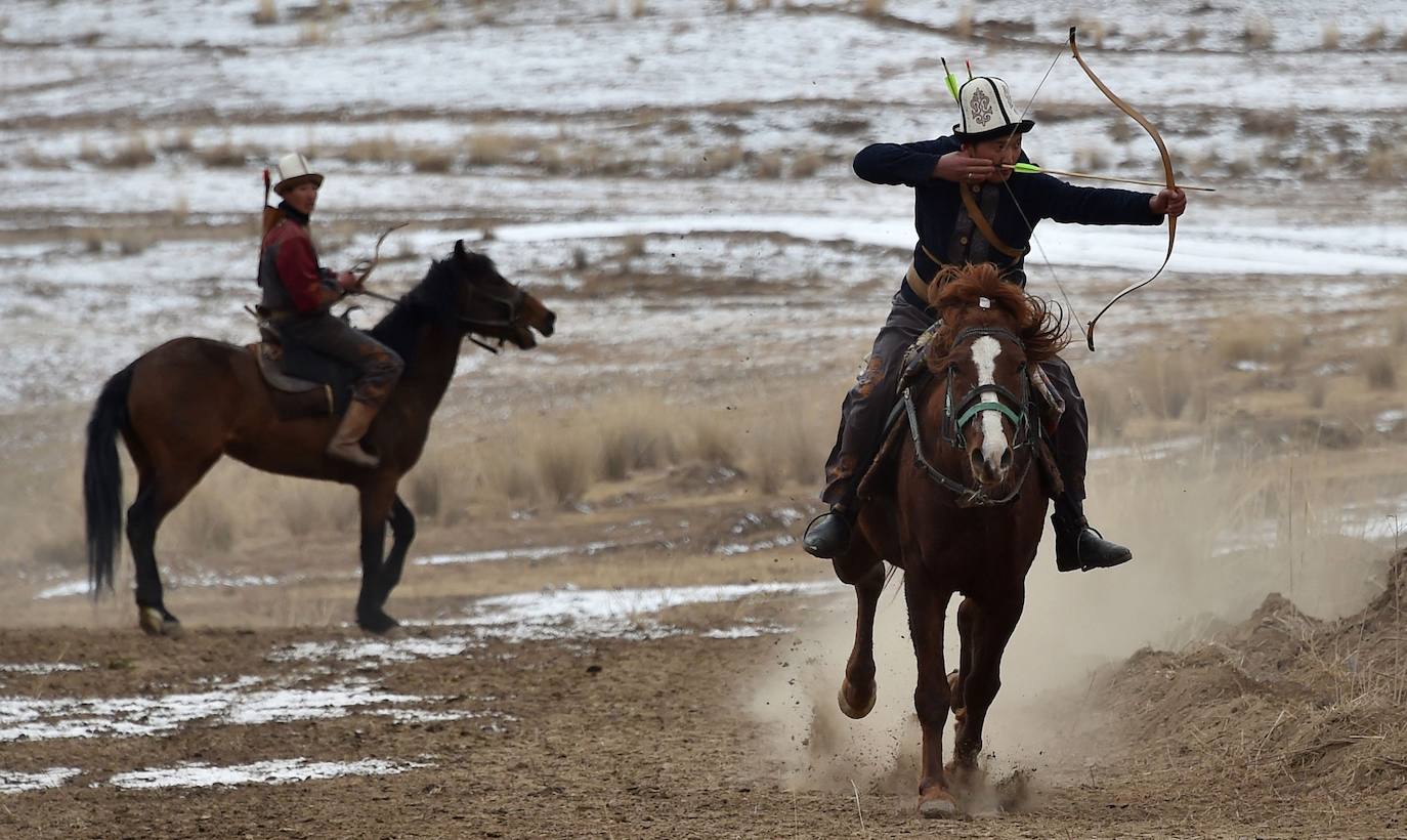 Fotos: Un águila real en busca de su presa
