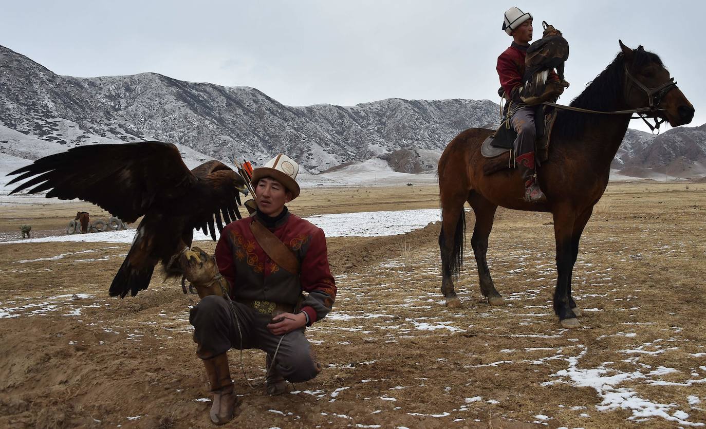 Fotos: Un águila real en busca de su presa