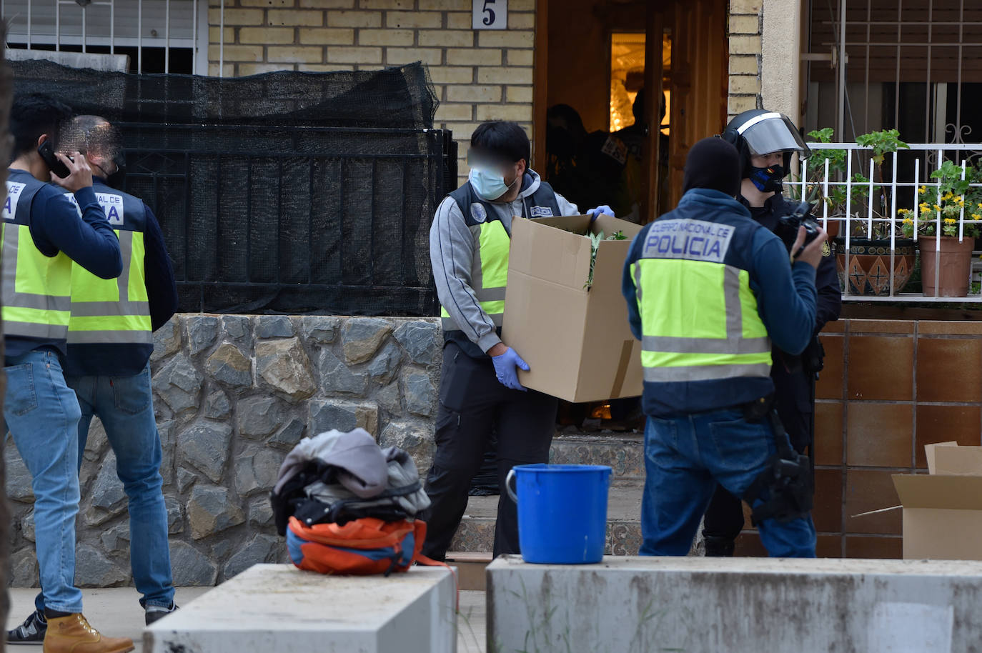 Fotos: Redada en una vivienda de Los Rosales culmina con la incautación de 200 plantas de marihuana