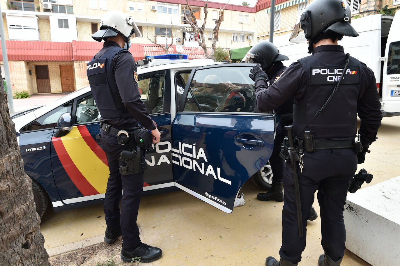 Fotos: Redada en una vivienda de Los Rosales culmina con la incautación de 200 plantas de marihuana