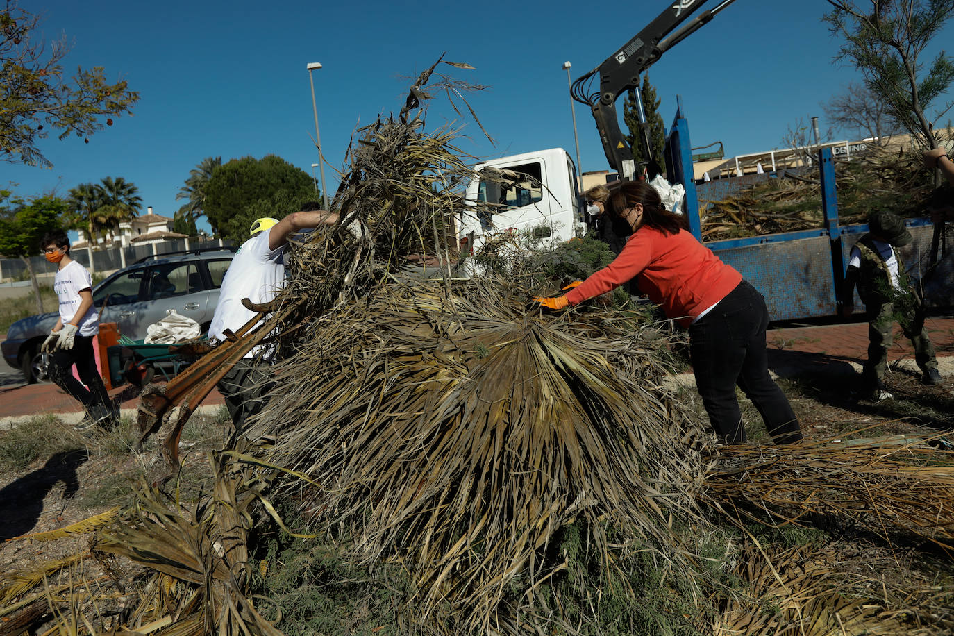 Fotos: Manos a la obra ante el «abandono del Ayuntamiento de Murcia»