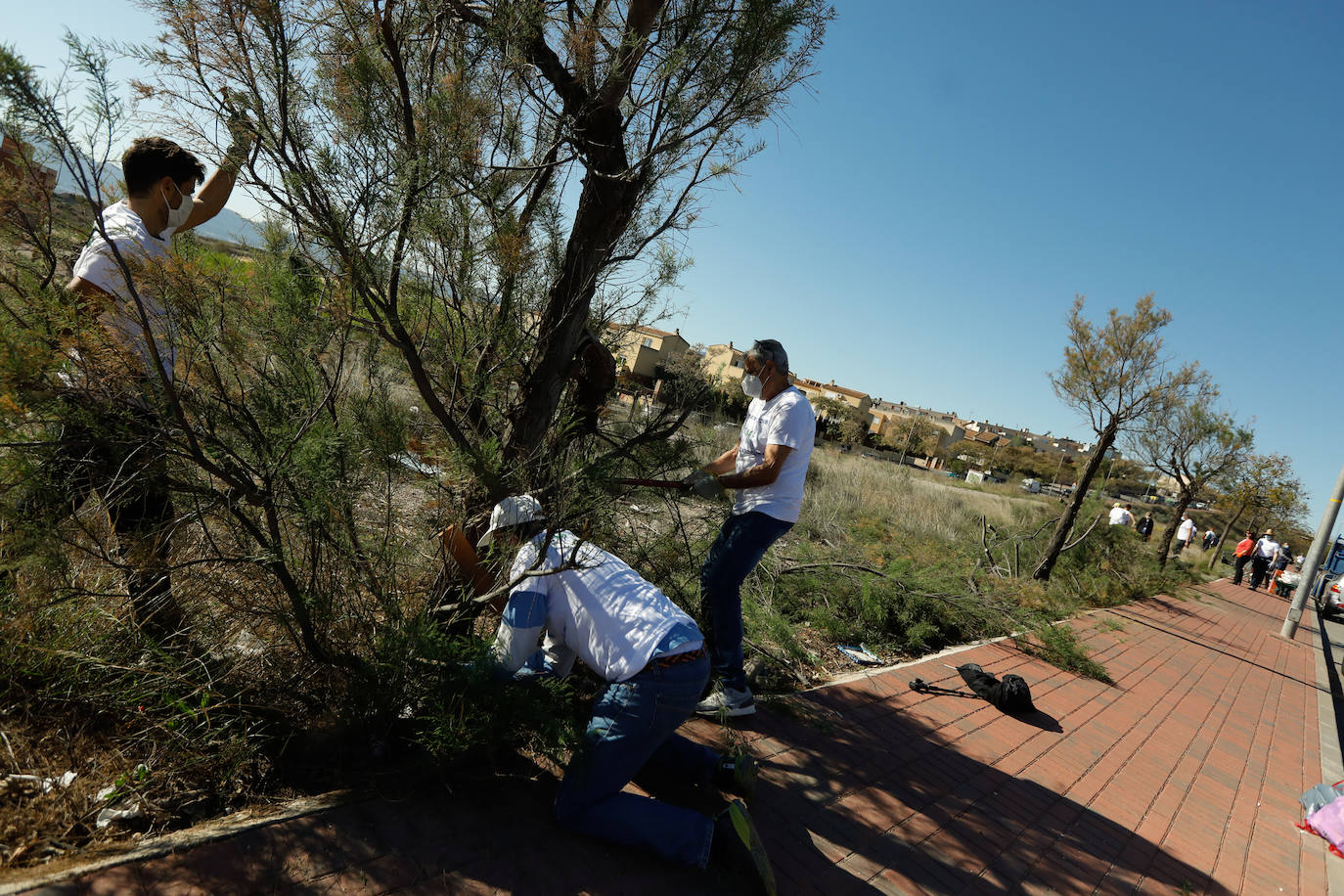 Fotos: Manos a la obra ante el «abandono del Ayuntamiento de Murcia»