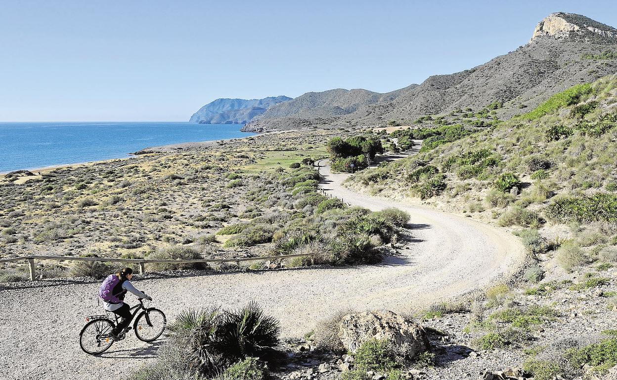 Estos son algunos planes que puedes hacer al aire libre