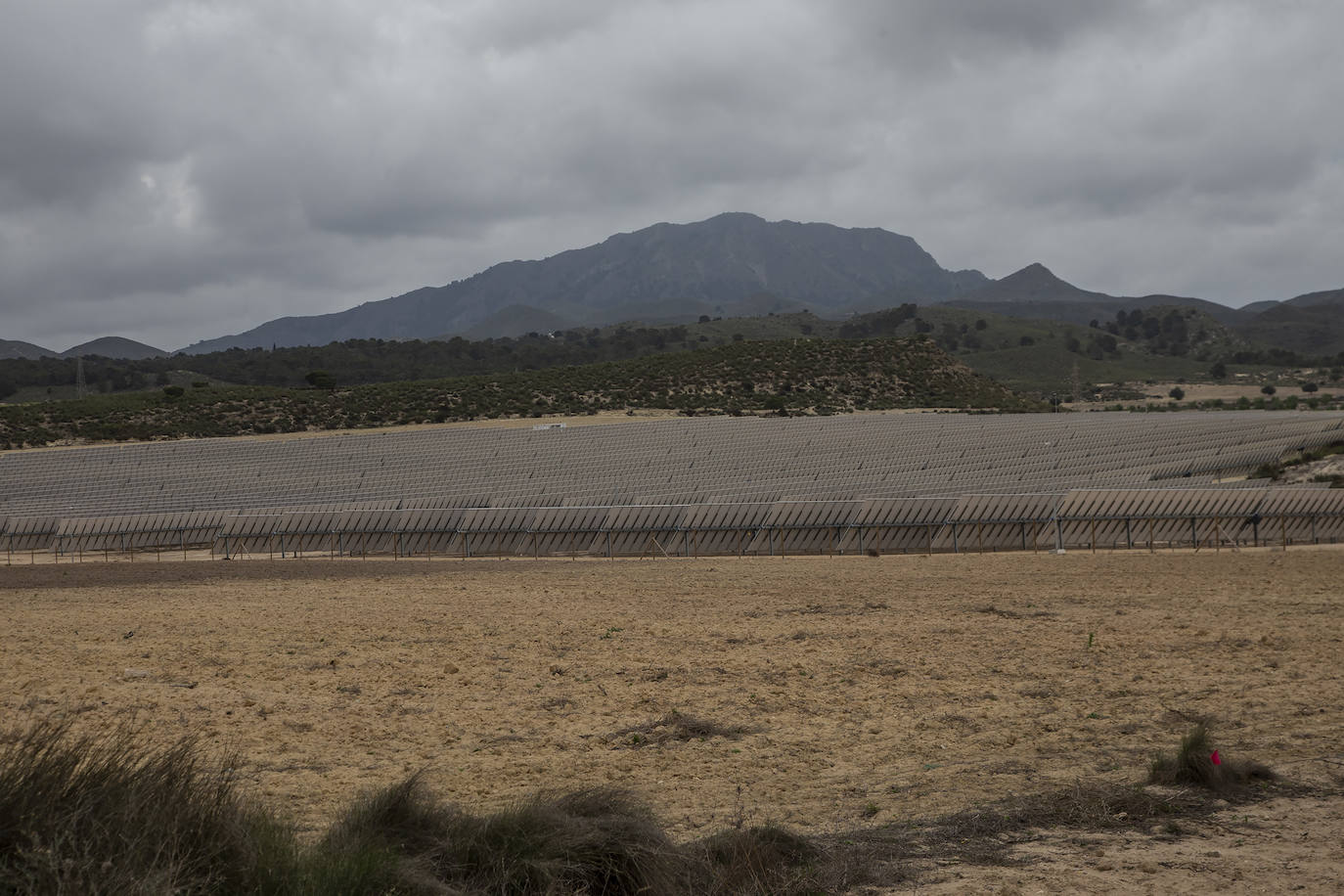 Fotos: La compañía líder en el sector de las renovables seguirá comprando plantas fotovoltaicas en la Región