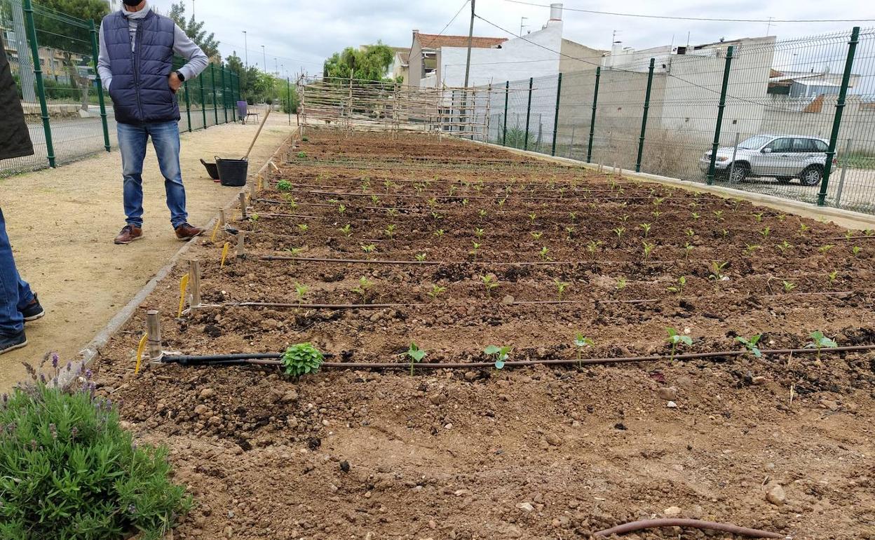 El huerto urbano La Estación de Molina de Segura, este jueves.