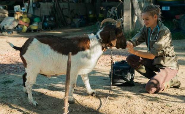 Un fotograma de 'Una veterinaria en la Borgoña'.