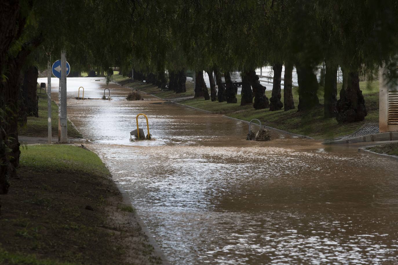 Fotos: Calles anegadas por la lluvia en la diputación cartagenera de La Aljorra