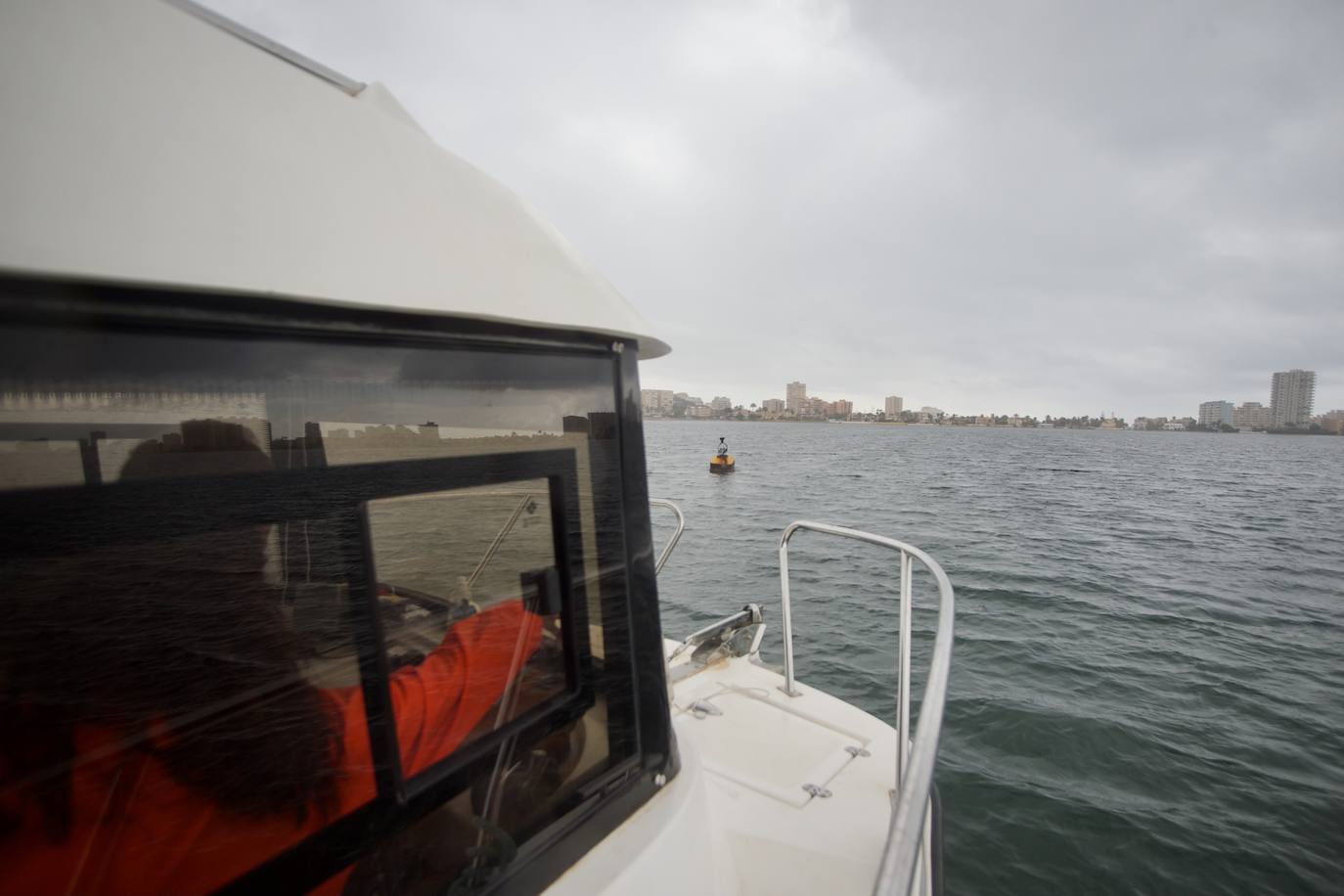 Fotos: Pesca y estudio del cangrejo azul, la especie invasora más temida en el Mar Menor