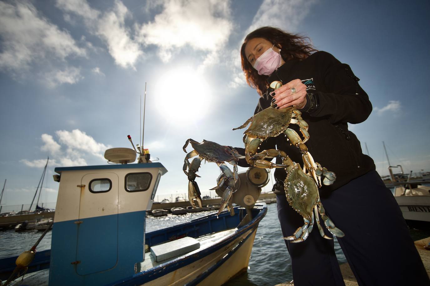 Fotos: Pesca y estudio del cangrejo azul, la especie invasora más temida en el Mar Menor