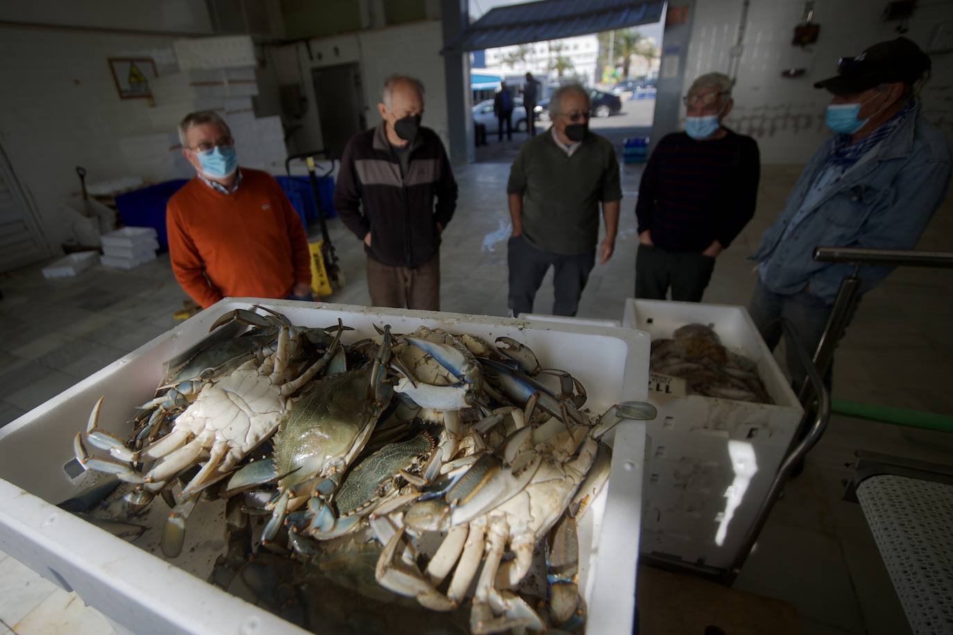 Fotos: Pesca y estudio del cangrejo azul, la especie invasora más temida en el Mar Menor