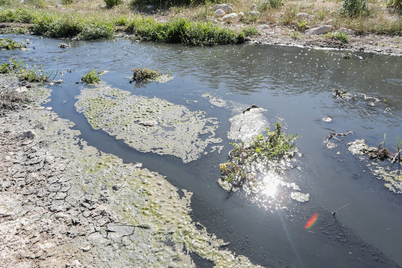 Fotos: El río Vélez, una cloaca a cielo abierto