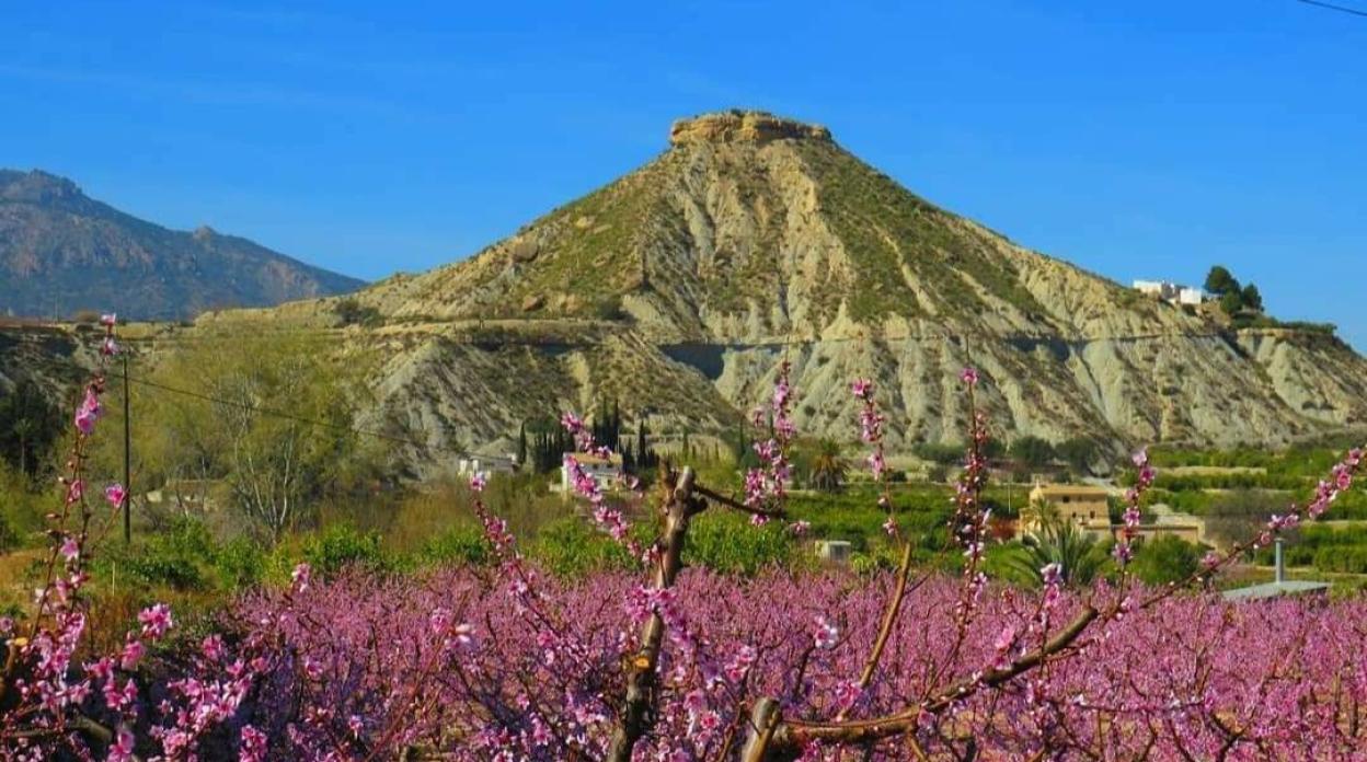 Cabezo de la Cobertera, en Abarán. 