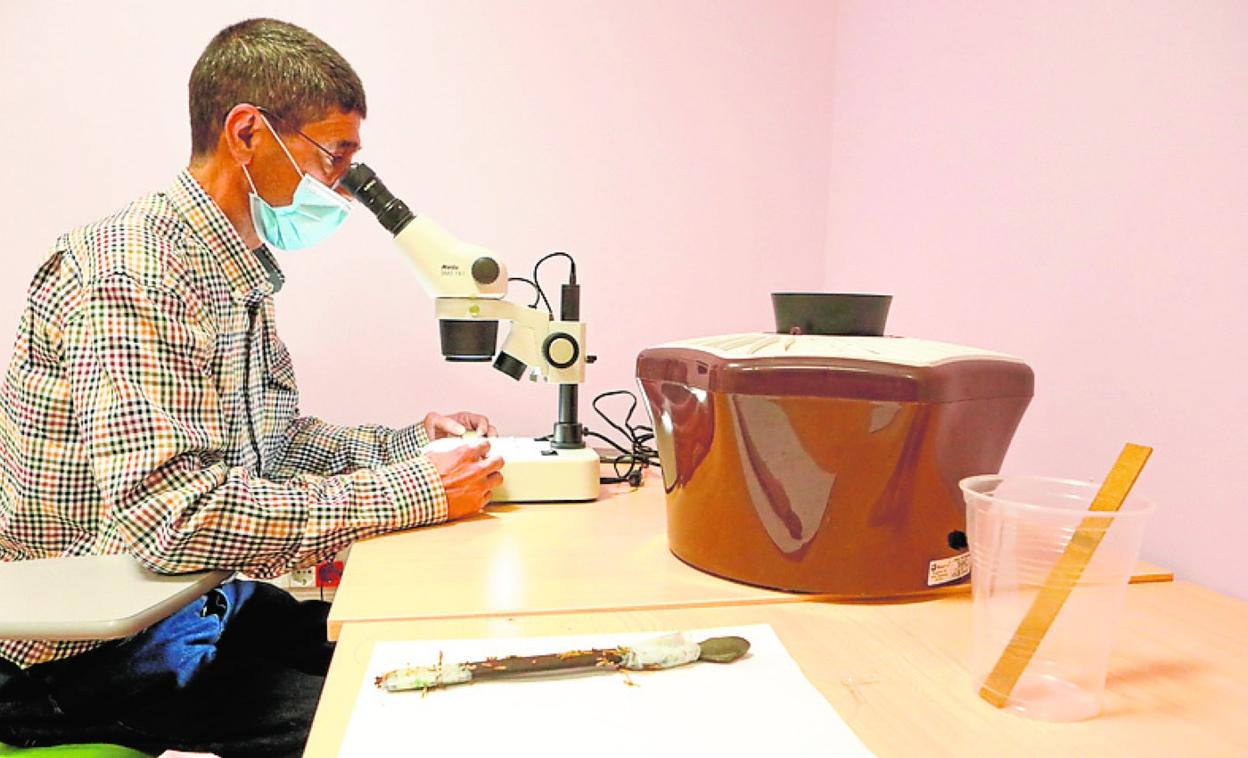 El veterinario municipal observa las tablillas con un microscopio. 