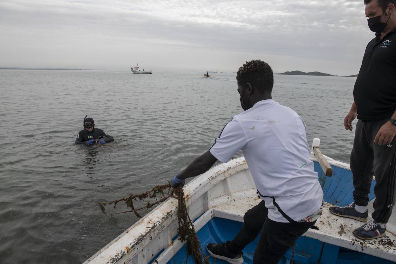 Fotos: Limpieza de residuos en el fondo del Mar Menor