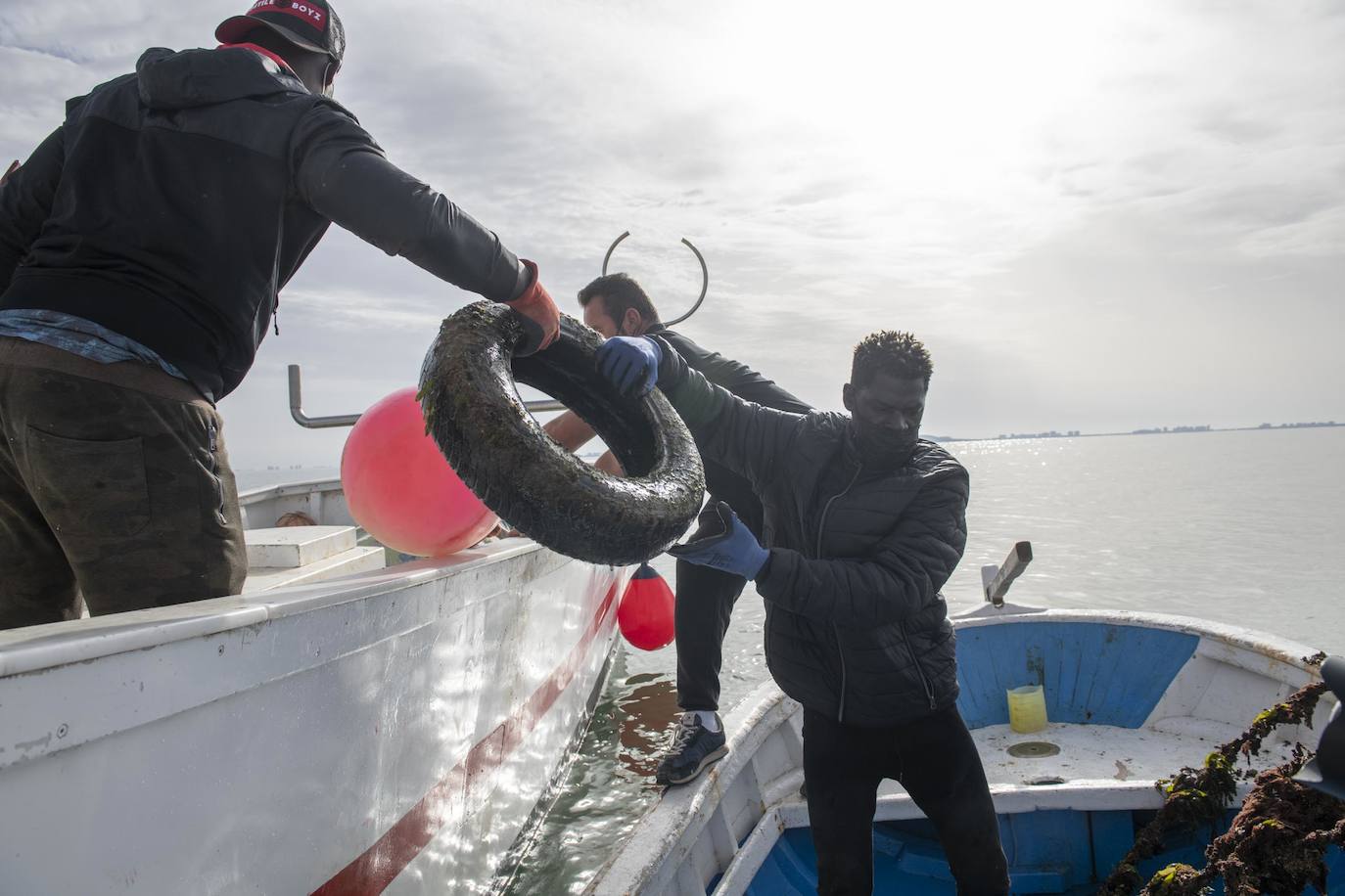Fotos: Limpieza de residuos en el fondo del Mar Menor