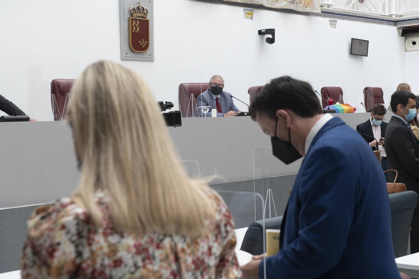 Fotos: La Asamblea aprueba la toma en consideración de la Proposición de Ley de Mecenazgo de la Región de Murcia