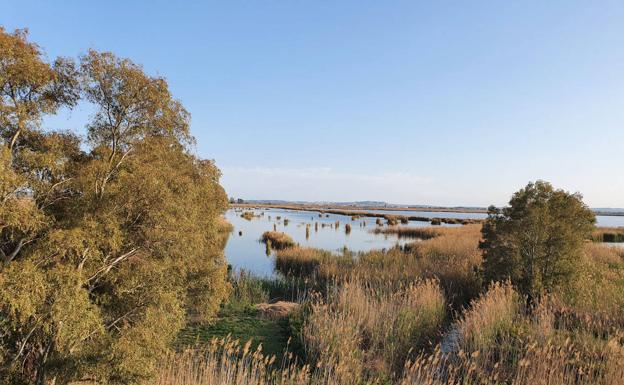 Parque Natural de El Hondo.