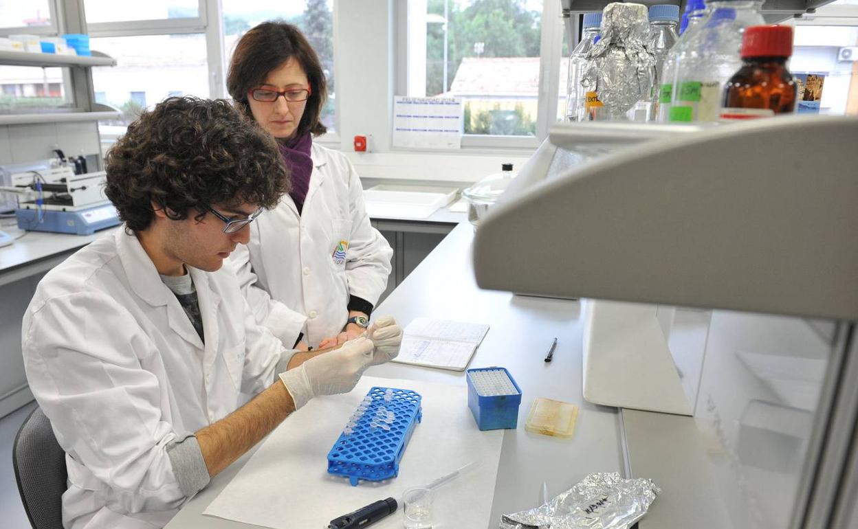 Un alumno realiza prácticas en un laboratorio en una imagen de archivo. 